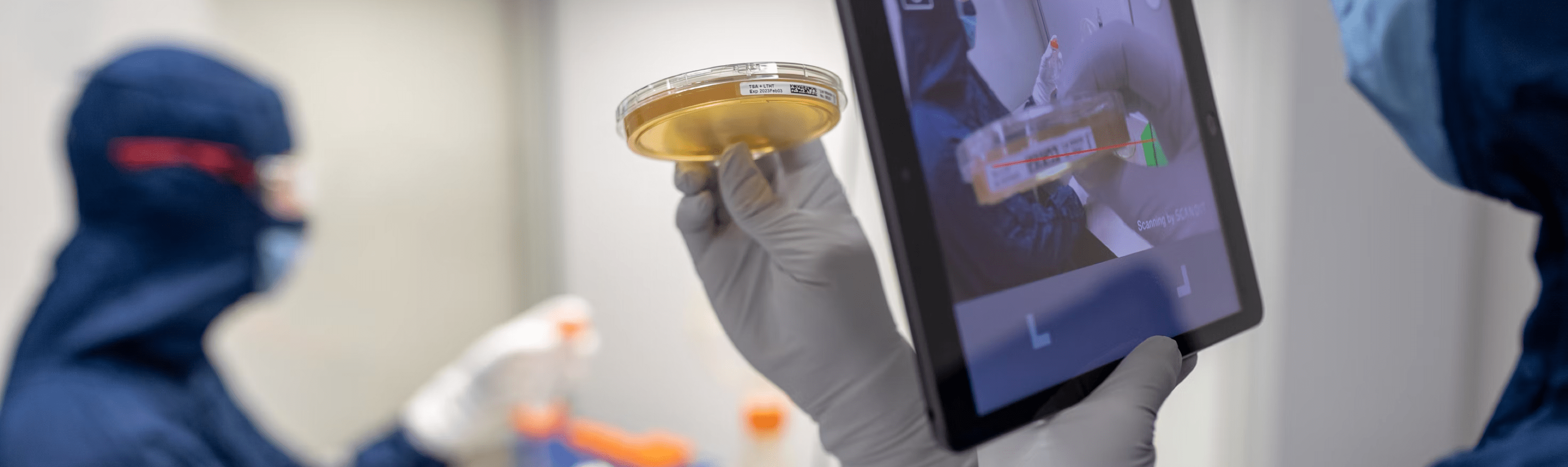 Application and progress of adhesion cell sorting and isolation techniques in biomedical research